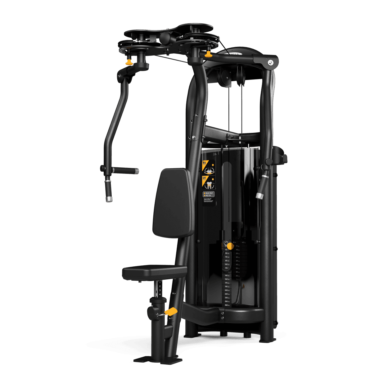 Rear delt / fly